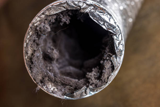 Air Duct Mold Removal in Holden Heights, FL